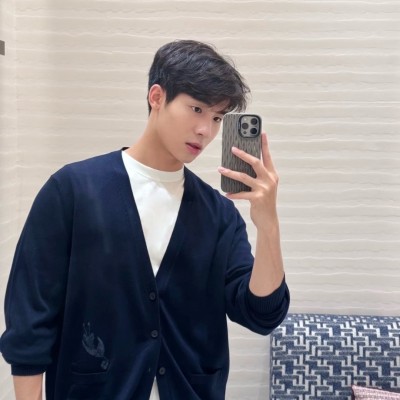디올 칠석 한정 새 테마 V넥 니